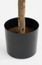 Mica Decorations Ficus Lyrata - Kunstplant - H165 x Ø95 cm - Groen