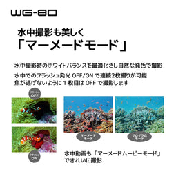 Ricoh WG-80 - Digitale camera - 122,5 mm breed - Oranje