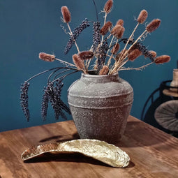 Messing Organische Schaal (set van 2)