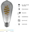 Hombli Smart Filament Bulb ST64 - E27 - CCT 1800K-6500K - Smokey