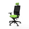Bureaustoel Piqueras y Crespo 3D066G2 Pistache