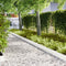 vidaXL - Tuinranden - 30 - stuks - Wit - 100x0.5x20 - cm - Kunststof