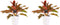 Decorum Duo 2 x Aglaonema Crete met Anna white – ↨ 25cm – ⌀ 12cm