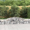 vidaXL - Schanskorven - 9 - st - gewelfd - 400x50x40/60 - cm - gegalvaniseerd - ijzer