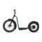 Elektrische Step Cecotec Bicinete Fat 1300 W