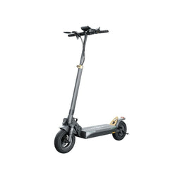 Elektrische Step Ruptor R1 Zwart 500 W