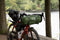 VANGO Apex Compact 300 - Koepeltent - Lichtgewicht - Forest Green
