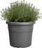 Elho Algarve Cilindro 25cm - Grote Bloempot voor Buiten - 100% Gerecycled Plastic - Antraciet