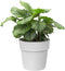 Elho B.for Original Rond 22 - Bloempot voor Binnen - 100% Gerecycled Plastic - Ø 22.0 x H 20.3 cm - Wit