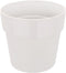 Elho B.for Original Rond 25 - Bloempot voor Binnen - Ø 24.7 x H 23.2 cm - Wit/Wit