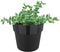 Elho B.for Original Rond Mini 9 - Bloempot voor Binnen - Ø 9.0 x H 8.5 cm - Living black