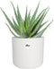 Elho B.for Soft Rond 14 - Bloempot voor Binnen - 100% gerecycled plastic - Ø 13.8 x H 12.5 cm - Wit