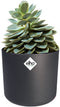 Elho B.for Soft Rond 16 - Bloempot voor Binnen - 100% gerecycled plastic - Ø 16 x H 15 cm - Antraciet