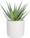 Elho B.for Soft Rond 22 - Bloempot voor Binnen - 100% gerecycled plastic - Ø 22.3 x H 20.4 cm - Wit