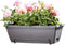 Elho Barcelona Allin1 50 - Balkonbakken met Ophanging - 100% Gerecycled Plastic - L49.5 x B27.5 x H18.5 cm - Antraciet