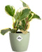 Elho Brussels Rond 16 - Bloempot voor Binnen - 100% Gerecycled Plastic - Ø 16.0 x H 14.7 cm - Sorbet groen
