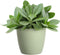 Elho Brussels Rond 18 - Bloempot voor Binnen - 100% Gerecycled Plastic - Ø 18.3 x H 16.8 cm - Sorbet groen