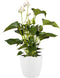 Elho Brussels Rond 22 - Bloempot voor Binnen - 100% Gerecycled Plastic - Ø 22.3 x H 20.6 cm - Wit