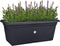 Elho Green Basics Garden Xxl 60 - Plantenbak voor Buiten - Ø 58.0 x H 26.8 cm - Living black