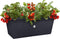 Elho Green Basics Garden Xxl 60 - Plantenbak voor Buiten - Ø 58.0 x H 26.8 cm - Living black