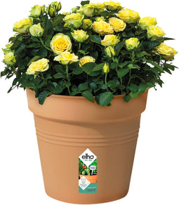 Elho Green Basics Kweekpot 40 - Kweekpot voor Binnen en Buiten - Ø 40.0 x H 37.0 cm - Mild terra