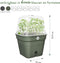 Elho Green Basics Kweekpot Vierkant Allin1 15 - Kweekbak met Deksel - 100% Gerecycled Plastic - Ø 15.0 x H 12.1 cm - Blad Groen