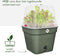 Elho Green Basics Kweekpot Vierkant Allin1 20 - Kweekbak met Deksel - 100% Gerecycled Plastic - Ø 19.5 x H 16.5 cm - Blad groen
