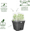 Elho Green Basics Kweekpot Vierkant Allin1 30 - Kweekbak met Deksel - 100% Gerecycled Plastic - Ø 29.6 x H 24.9 cm - Living Black