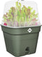 Elho Green Basics Kweekpot Vierkant Allin1 35 - Kweekbak met Deksel - 100% Gerecycled Plastic - Ø 34.6 x H 29.2 cm - Blad Groen