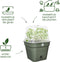Elho Green Basics Kweekpot Vierkant Allin1 35 - Kweekbak met Deksel - 100% Gerecycled Plastic - Ø 34.6 x H 29.2 cm - Blad Groen