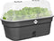 Elho Green Basics Kweektray Allin1 39 - Kweekbak met Deksel - 100% Gerecycled Plastic - Ø 39.0 x H 15.2 cm - Living Black