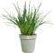 Elho Green Basics Orchidee 13 - Bloempot voor Binnenbuitenkweken En Oogsten - Ø 13.1 x H 12.0 cm - Steengroen