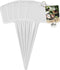 Elho Green Basics Plantlabels 7 - Accessoires voor Buitenkweken En Oogstenaccessoires - Ø 7.5 x H 18.5 cm - Wit