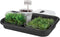 Elho Green Basics Tuintray 60 - Binnen en Buiten - Kweken en Oogsten - Ø 58.5 x H 11.0 cm - Living Black