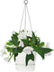 Elho Greenville Hangschaal 24 - Hangpot voor Buiten - 100% Gerecycled Plastic - Ø 23.5 x H 20.5 cm - Wit