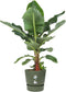 Elho Greenville Rond 25 - Bloempot voor Buiten met Waterreservoir - 100% Gerecycled Plastic - Ø 24.5 x H 23.3 cm - Blad groen