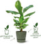 Elho Greenville Rond 25 - Bloempot voor Buiten met Waterreservoir - 100% Gerecycled Plastic - Ø 24.5 x H 23.3 cm - Blad groen