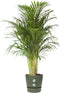 Elho Greenville Rond 40 - Grote Bloempot voor Buiten met Waterreservoir - 100% Gerecycled Plastic - Ø 39 x H 36.8 cm - Blad groen