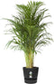 Elho Greenville Rond 47 - Grote Bloempot voor Buiten met Waterreservoir - 100% Gerecycled Plastic - Ø 47 x H 44 cm - Living black