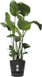Elho Greenville Rond 47 - Grote Bloempot voor Buiten met Waterreservoir - 100% Gerecycled Plastic - Ø 47 x H 44 cm - Living black