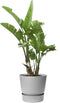 Elho Greenville Rond 47 - Grote Bloempot voor Buiten met Waterreservoir - 100% Gerecycled Plastic - Ø 47 x H 44 cm - Living concrete
