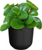 Elho Jazz Rond 16 Bloempot voor Binnen - Woonaccessoire van 100% Gerecycled Plastic - Ø 16.5 x H 15.3 cm - Living black