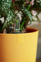 Elho Jazz Rond 19 Bloempot voor Binnen - Woonaccessoire van 100% Gerecycled Plastic - Ø 18.9 x H 17.6 cm - Amber geel