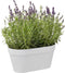 Elho Loft Urban Green Wall Pot Duo 28 - Bloempot voor Balkon Buiten - Ø 28.0 x H 13.2 cm - Wit
