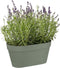 Elho Loft Urban Green Wall Pot Duo 28 - Bloempot voor Balkon Buiten - Ø 28.0 x H 13.2 cm - Pistachegroen