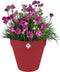 Elho Loft Urban Rond 20 - Bloempot voor Buiten - Ø 19.3 x H 17.5 cm - Theater rood