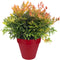 Elho Loft Urban Rond 25 - Bloempot voor Buiten - Ø 24.5 x H 22.0 cm - Veenbes rood