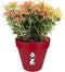 Elho Loft Urban Rond 25 - Bloempot voor Buiten - Ø 24.5 x H 22.0 cm - Veenbes rood