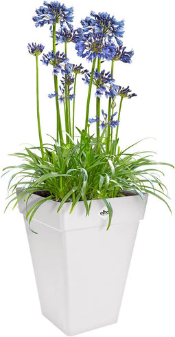 Elho Loft Urban Vierkant Hoog 30 - Grote Plantenbak voor Buiten - Bloempot voor Buiten - Ø 29.3 x H 41.3 cm - Wit