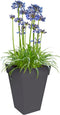 Elho Loft Urban Vierkant Hoog 37 - Grote Plantenbak voor Buiten - Bloempot voor Buiten - Ø 37.0 x H 51.3 cm - Antraciet
